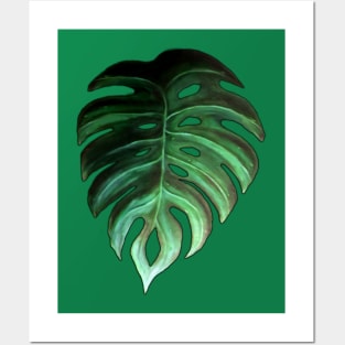 Monstera Leaf Design Posters and Art